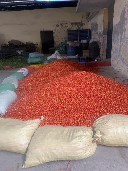Thanh Yen canned food production image