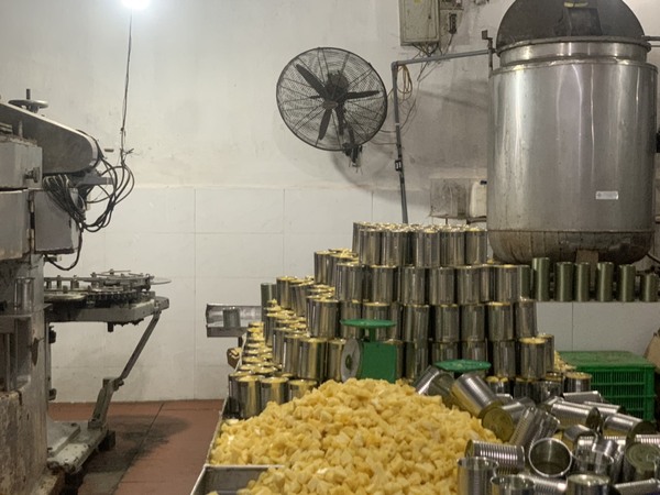 Thanh Yen canned food production image
