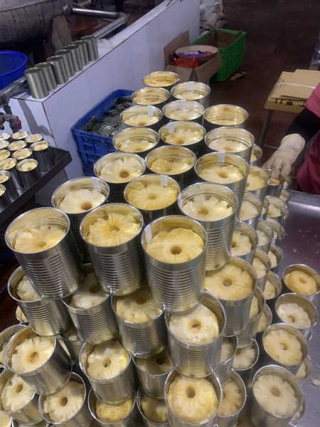 Thanh Yen canned food production image