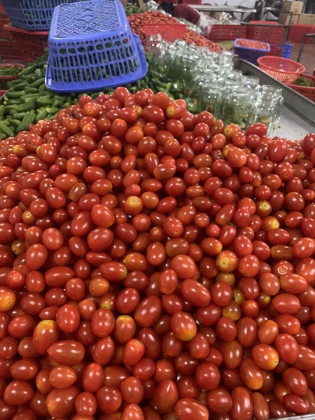 Thanh Yen canned food production image