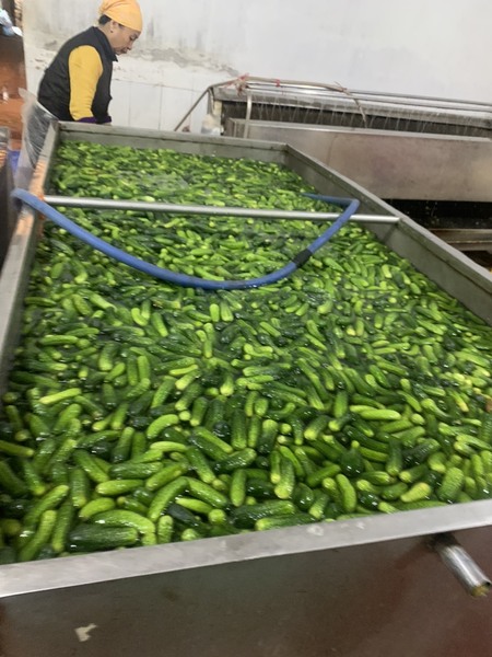 Thanh Yen canned food production image