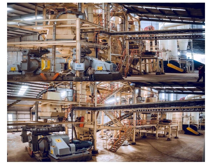 Wood factory in Tam Phuc - Gia Lai