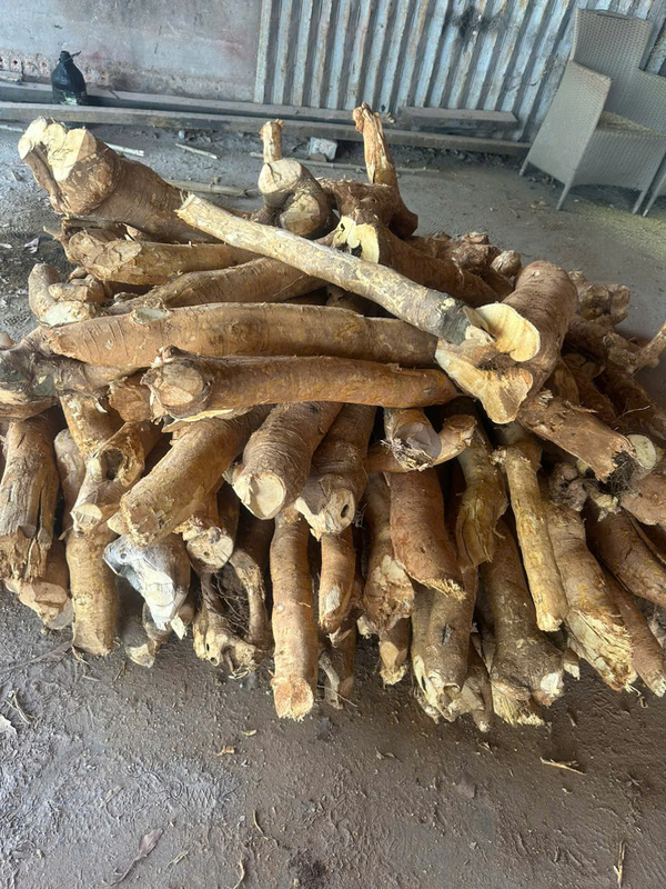 Timber