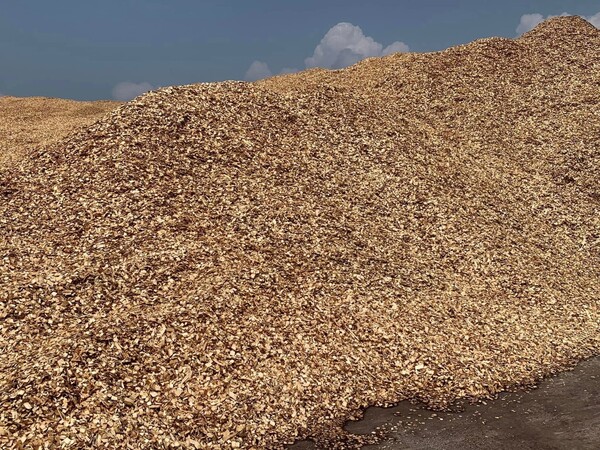 Timber