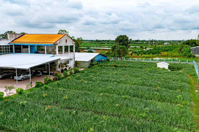 Tam Ngoc company campus image