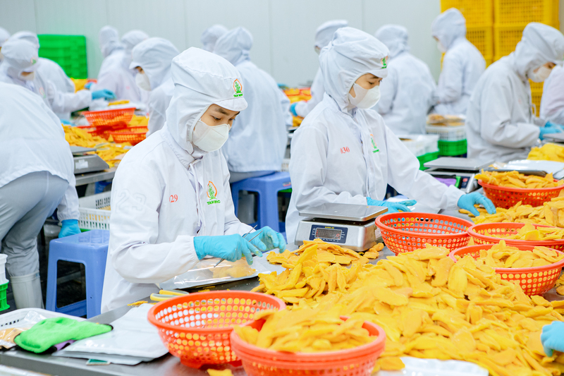 Tam Ngoc factory image