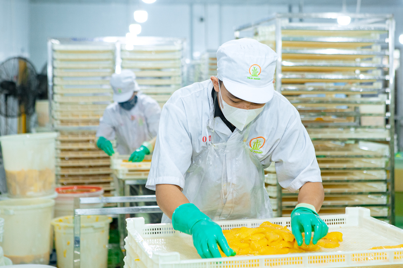 Tam Ngoc factory image