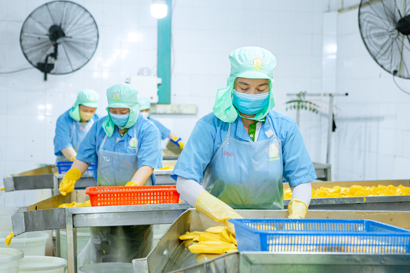 Tam Ngoc factory image