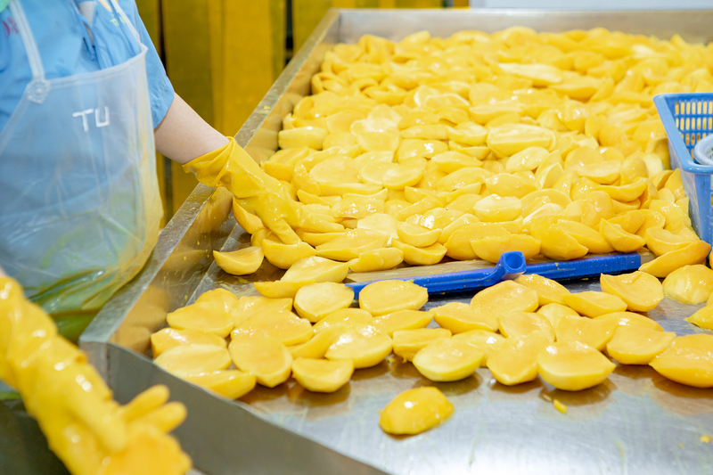 Tam Ngoc factory image