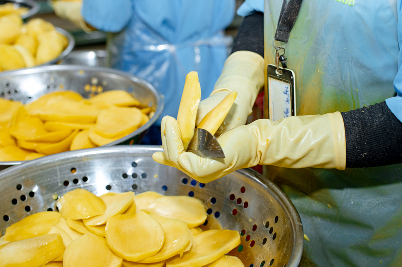 Tam Ngoc factory image