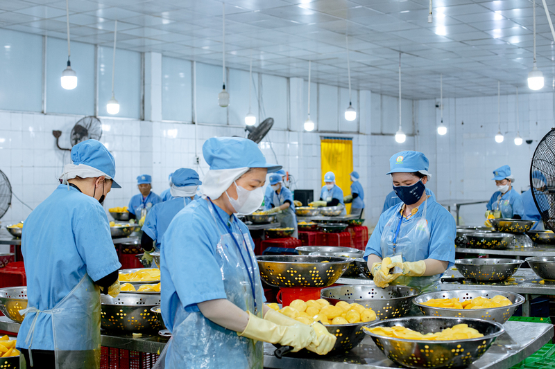 Tam Ngoc factory image