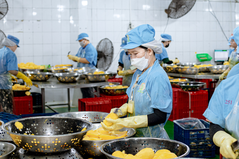 Tam Ngoc factory image