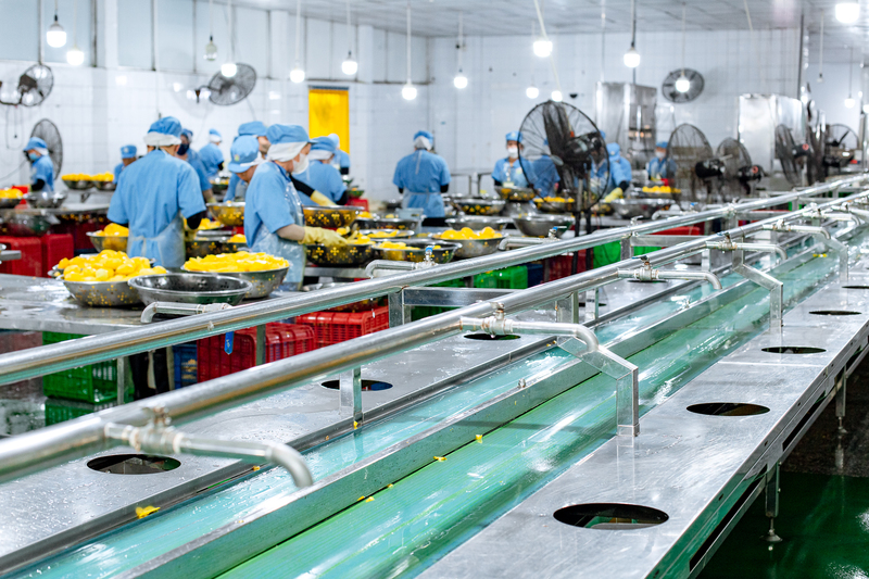 Tam Ngoc factory image