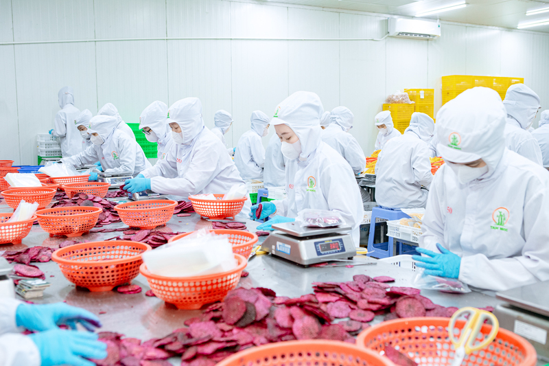 Tam Ngoc factory image