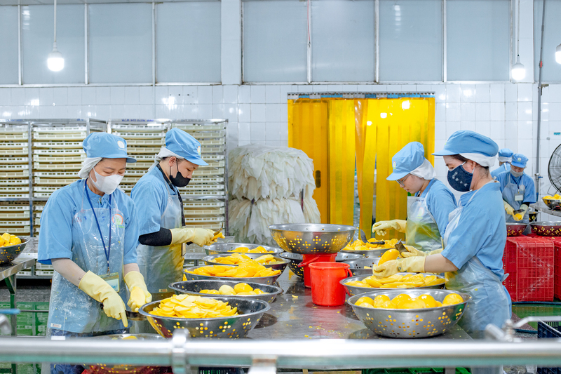 Tam Ngoc factory image
