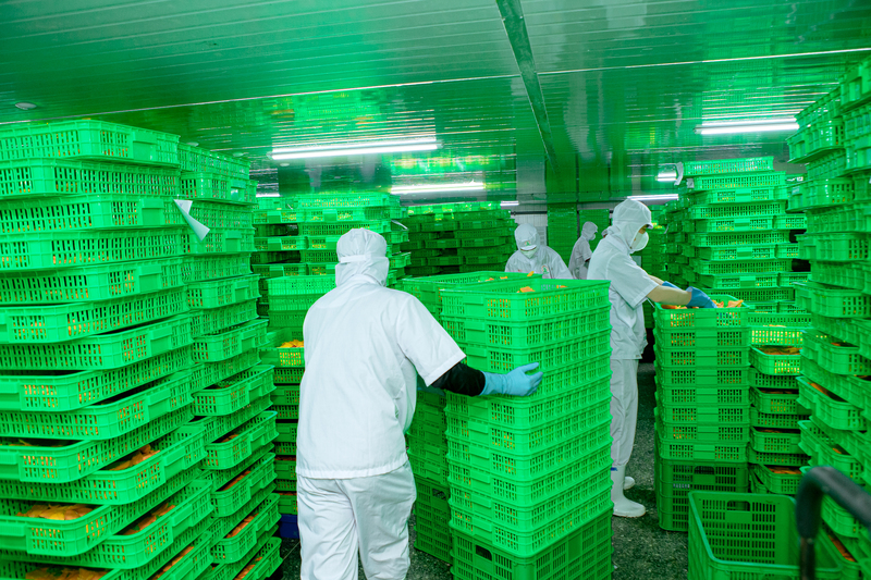 Tam Ngoc factory image