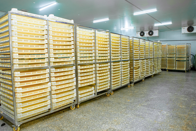 Tam Ngoc factory image