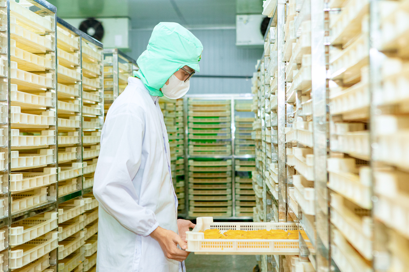 Tam Ngoc factory image