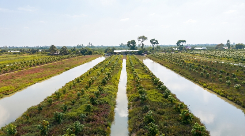 Tam Ngoc farm image