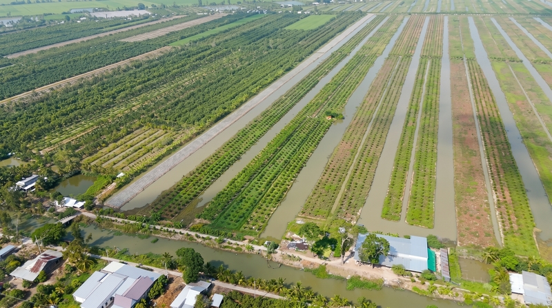 Tam Ngoc farm image