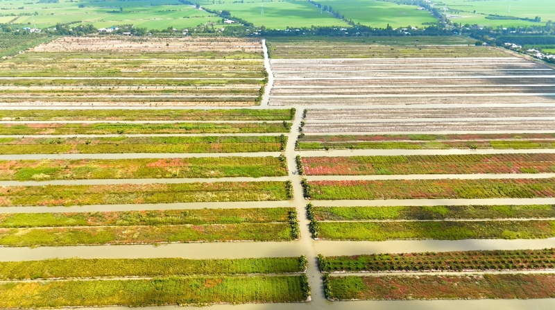 Tam Ngoc farm image