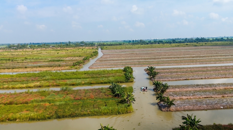 Tam Ngoc farm image
