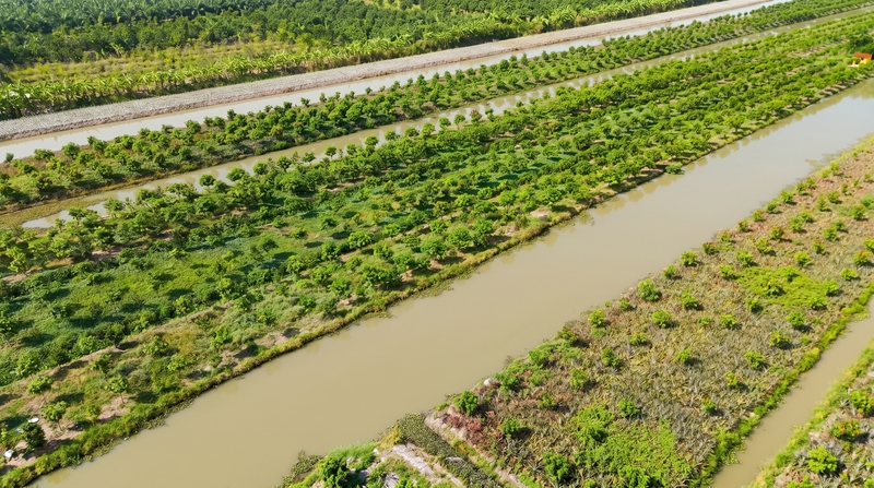 Tam Ngoc farm image