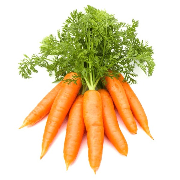 Carrot