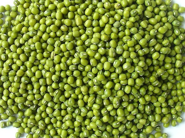 Mung bean