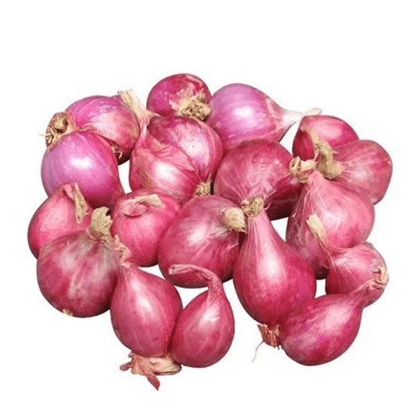 Purple onion