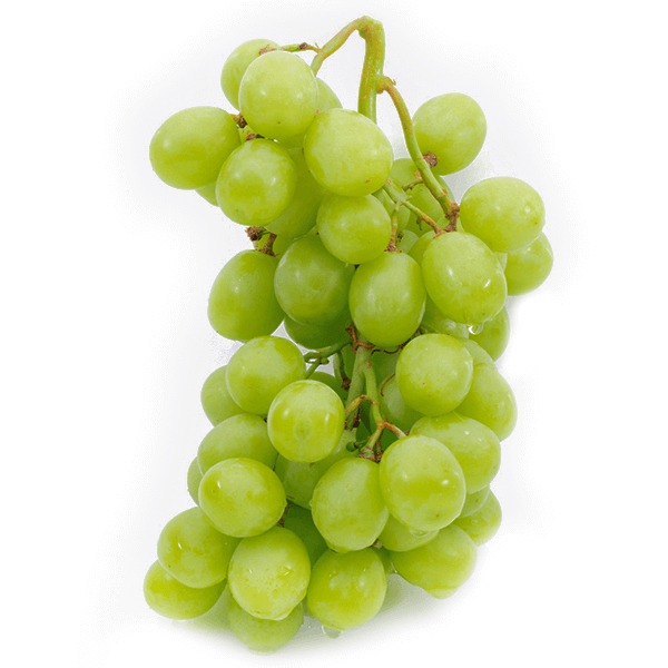 Ninh Thuan grapes