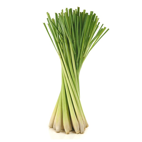 Fresh lemongrass