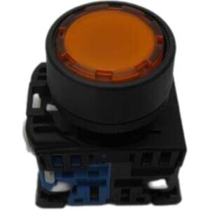 Fuji illuminated push button