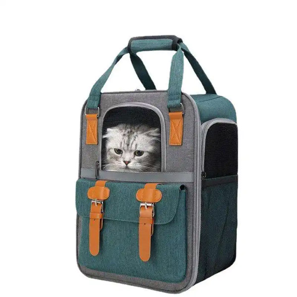 Pet Bag & Pet Backpack