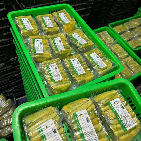 Frozen avocado - 100g