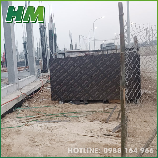 Construction plywood