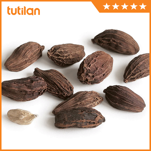 Black cardamom