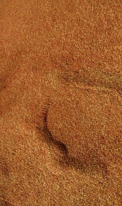 Chili powder