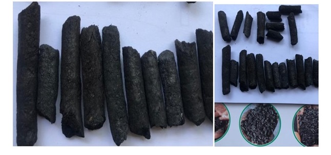 Biochar