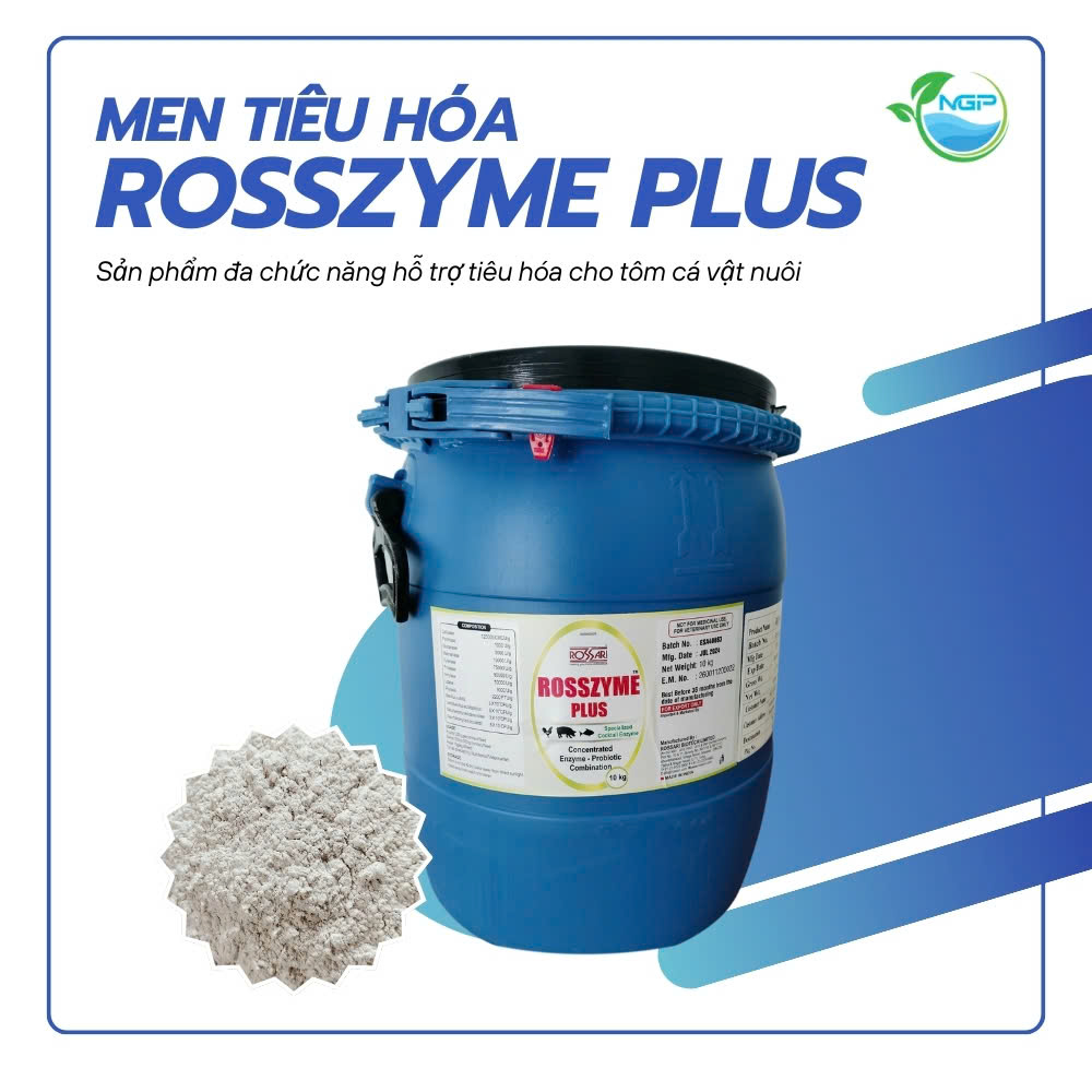 Rosszyme Plus digestive enzymes