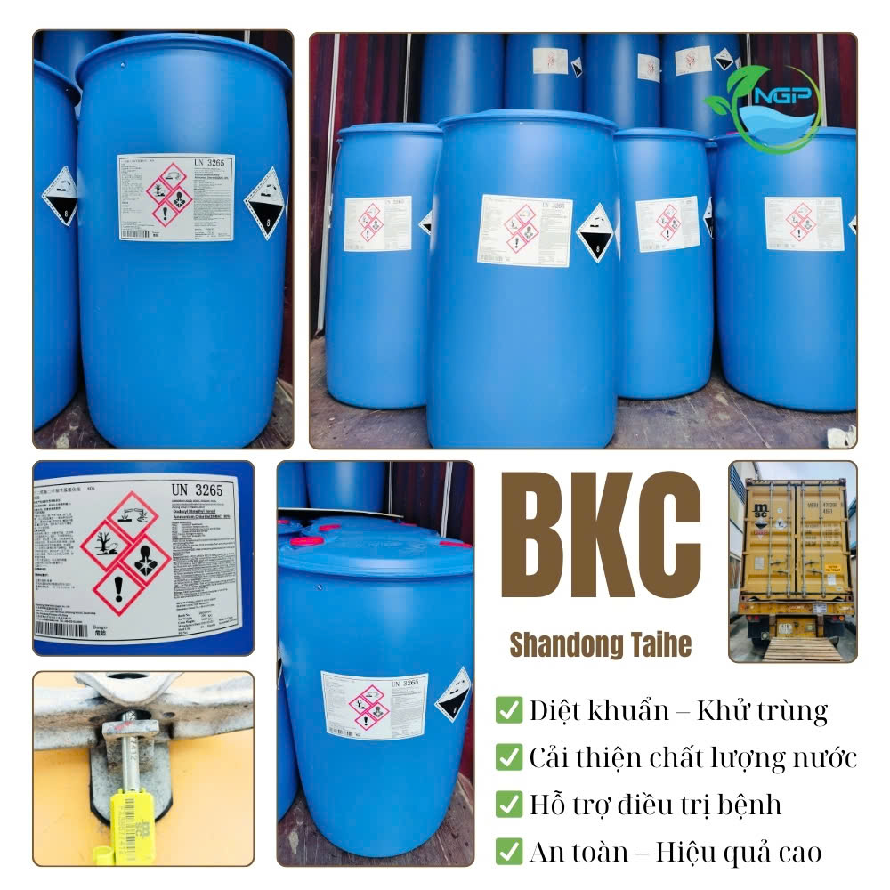 BKC 80%