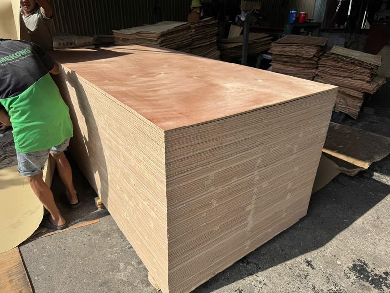 Okoume veneered plywood