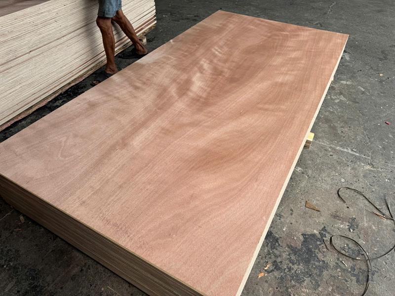 Okoume veneered plywood