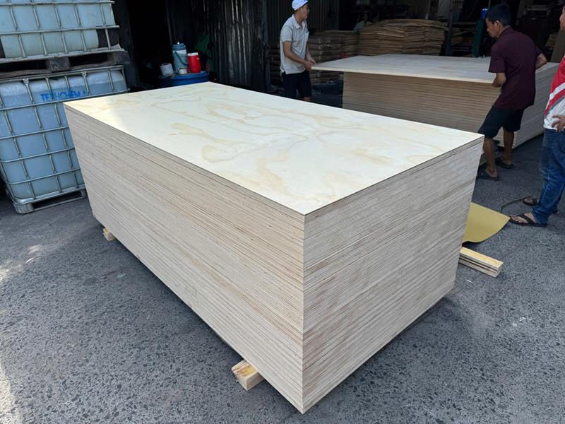 Pine veneered plywood