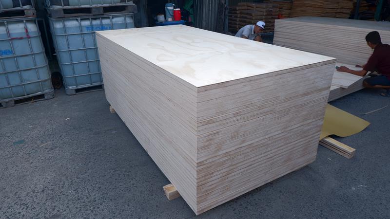 Pine veneered plywood