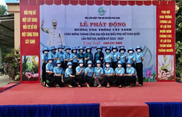 Nhu Y company image