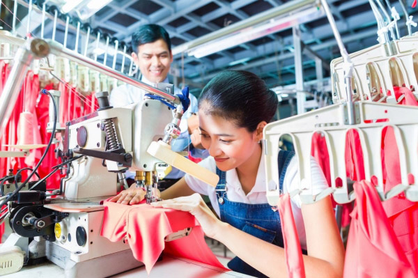Nhu Y company image