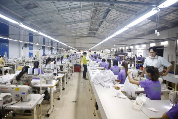Nhu Y company image