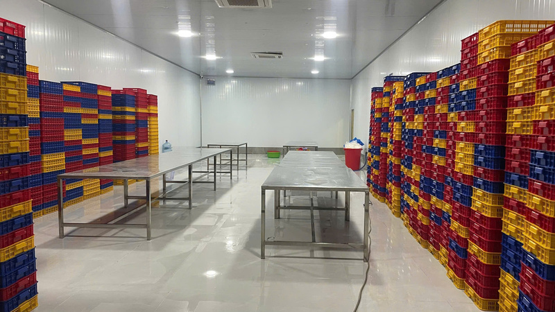 An Ngoc company image