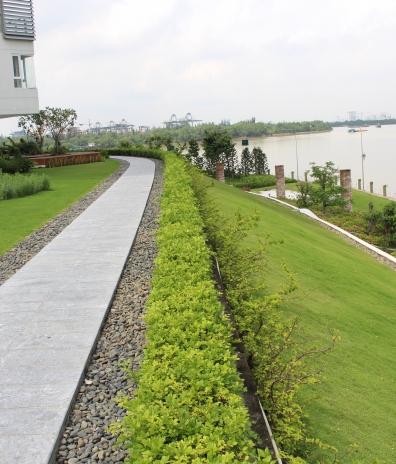 Landscape maintenance and renovation